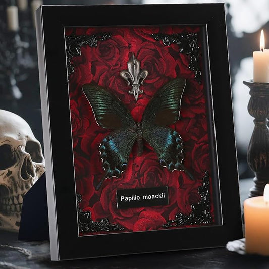 Real Butterfly Frame (Red Background)